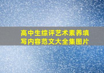 高中生综评艺术素养填写内容范文大全集图片