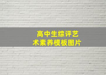 高中生综评艺术素养模板图片