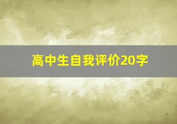 高中生自我评价20字