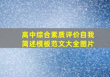 高中综合素质评价自我简述模板范文大全图片