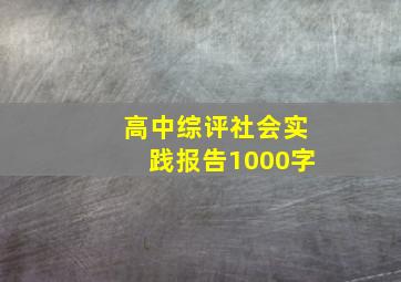 高中综评社会实践报告1000字