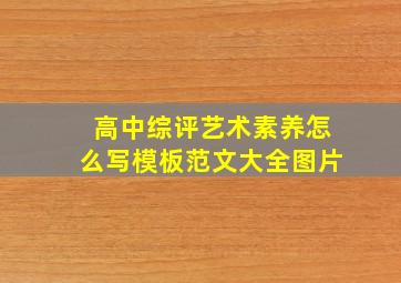 高中综评艺术素养怎么写模板范文大全图片