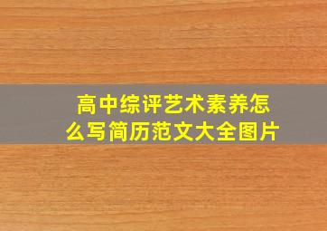 高中综评艺术素养怎么写简历范文大全图片