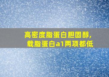 高密度脂蛋白胆固醇,载脂蛋白a1两项都低