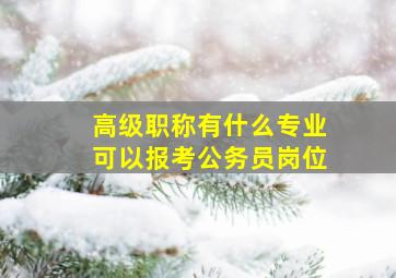 高级职称有什么专业可以报考公务员岗位