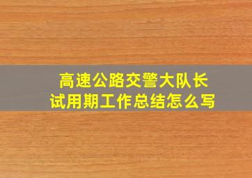 高速公路交警大队长试用期工作总结怎么写