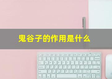 鬼谷子的作用是什么