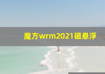 魔方wrm2021磁悬浮