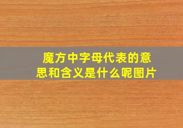 魔方中字母代表的意思和含义是什么呢图片