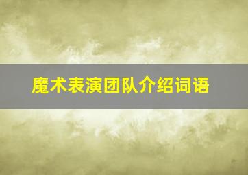 魔术表演团队介绍词语