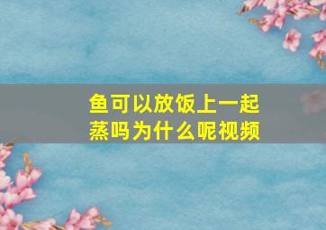 鱼可以放饭上一起蒸吗为什么呢视频