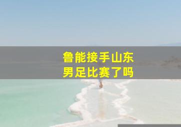 鲁能接手山东男足比赛了吗