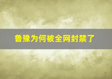 鲁豫为何被全网封禁了