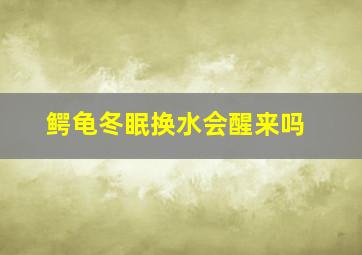 鳄龟冬眠换水会醒来吗