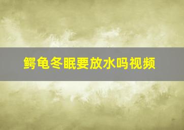 鳄龟冬眠要放水吗视频