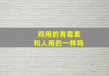 鸡用的青霉素和人用的一样吗