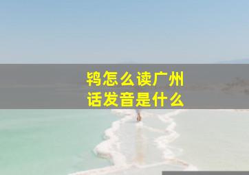 鸨怎么读广州话发音是什么