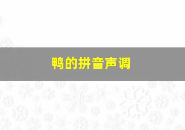 鸭的拼音声调