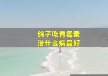 鸽子吃青霉素治什么病最好