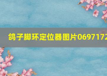 鸽子脚环定位器图片0697172