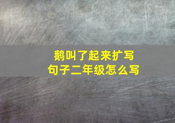 鹅叫了起来扩写句子二年级怎么写