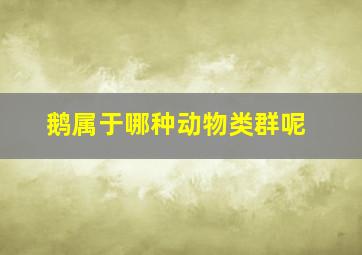 鹅属于哪种动物类群呢