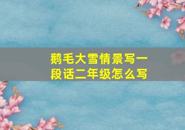 鹅毛大雪情景写一段话二年级怎么写