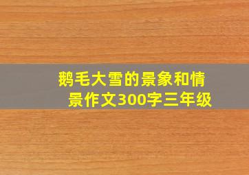 鹅毛大雪的景象和情景作文300字三年级