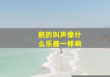 鹅的叫声像什么乐器一样响