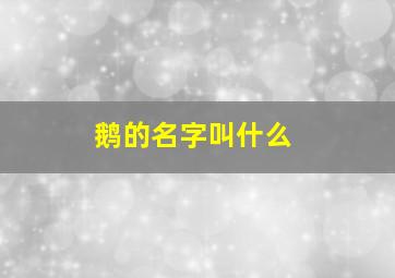 鹅的名字叫什么