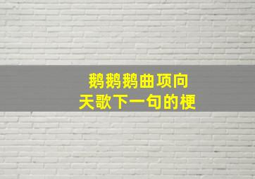 鹅鹅鹅曲项向天歌下一句的梗