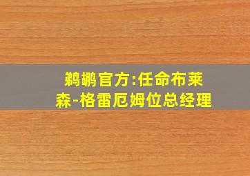 鹈鹕官方:任命布莱森-格雷厄姆位总经理