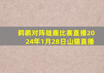 鹈鹕对阵雄鹿比赛直播2024年1月28日山猫直播