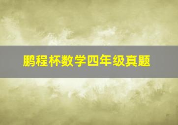 鹏程杯数学四年级真题