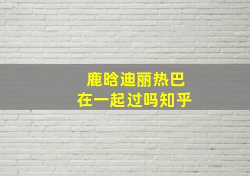 鹿晗迪丽热巴在一起过吗知乎