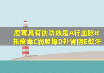 鹿茸具有的功效是A行血脉B托疮毒C润肠燥D补肾阴E敛汗