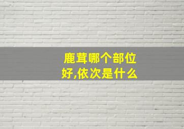 鹿茸哪个部位好,依次是什么