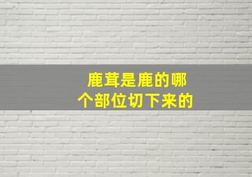 鹿茸是鹿的哪个部位切下来的