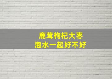 鹿茸枸杞大枣泡水一起好不好