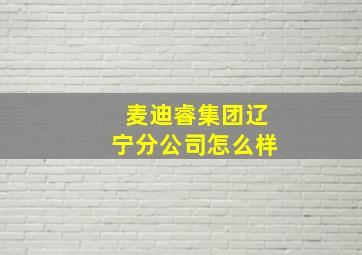 麦迪睿集团辽宁分公司怎么样