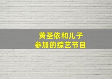 黄圣依和儿子参加的综艺节目