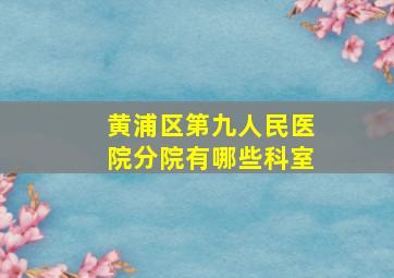 黄浦区第九人民医院分院有哪些科室