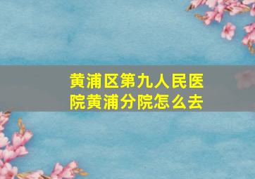 黄浦区第九人民医院黄浦分院怎么去