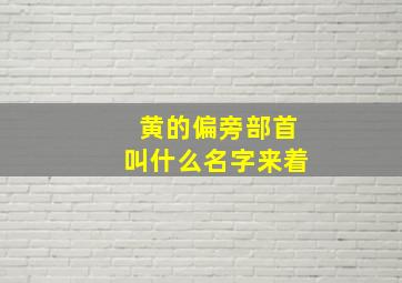 黄的偏旁部首叫什么名字来着