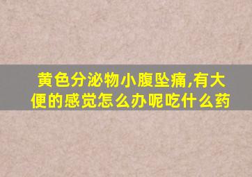 黄色分泌物小腹坠痛,有大便的感觉怎么办呢吃什么药