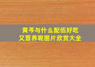 黄芩与什么配伍好吃又营养呢图片欣赏大全