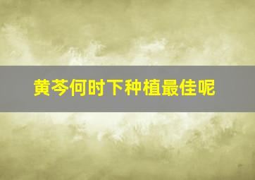 黄芩何时下种植最佳呢