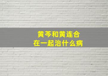 黄芩和黄连合在一起治什么病