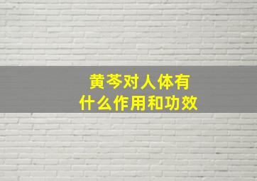 黄芩对人体有什么作用和功效