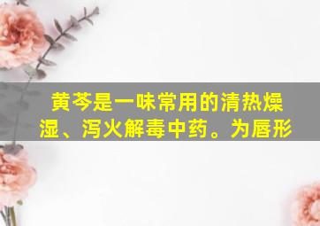 黄芩是一味常用的清热燥湿、泻火解毒中药。为唇形